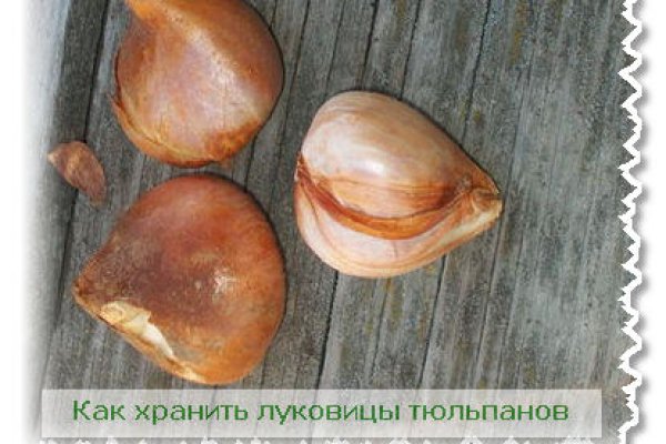 Craken14 at