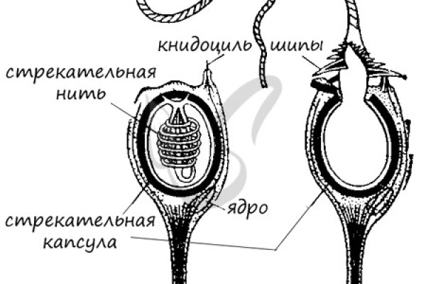 Кракен ссылка призыва нет