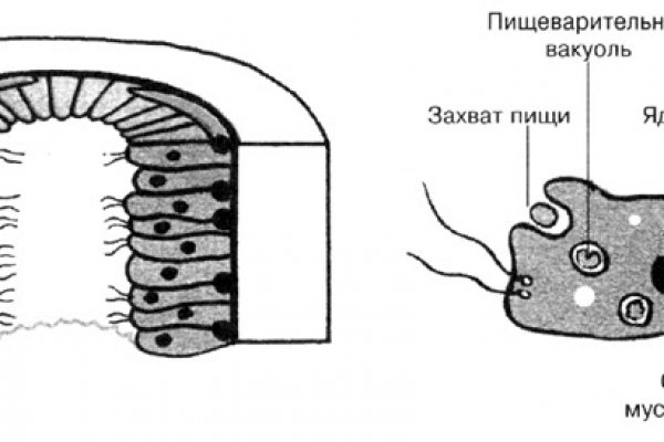 Кракен сегодня сайт зеркало