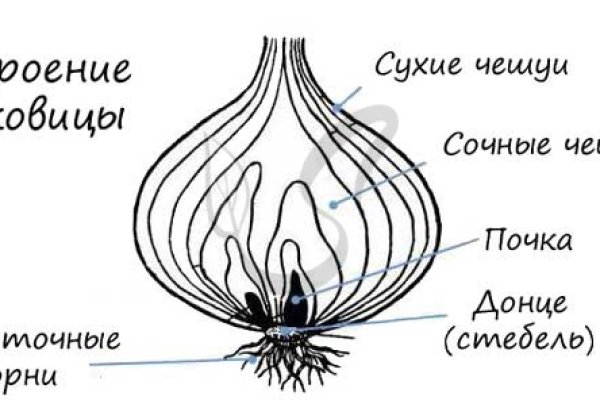 Кракен наркошоп ссылка